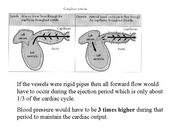 If the vessels were rigid pipes then all forward flow would have to occur