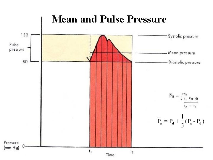 Mean and Pulse Pressure 