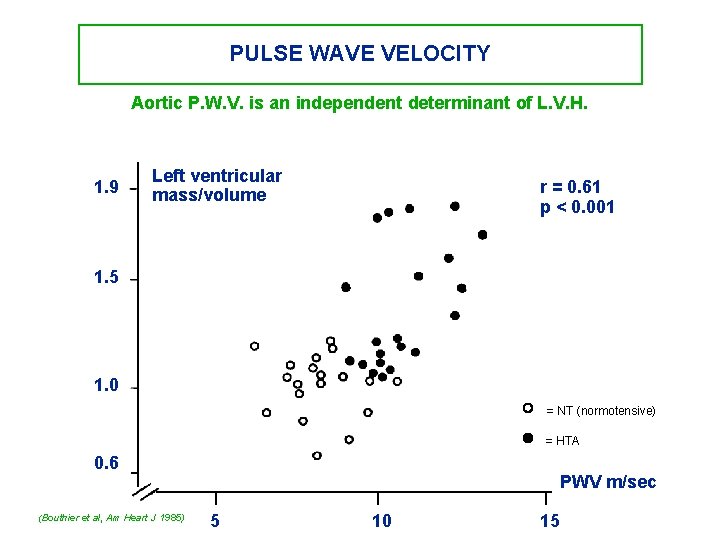PULSE WAVE VELOCITY Aortic P. W. V. is an independent determinant of L. V.