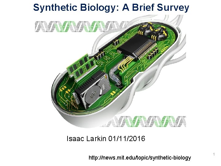 Synthetic Biology: A Brief Survey Isaac Larkin 01/11/2016 http: //news. mit. edu/topic/synthetic-biology 1 