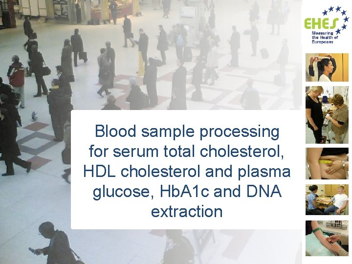 Blood sample processing for serum total cholesterol, HDL cholesterol and plasma glucose, Hb. A