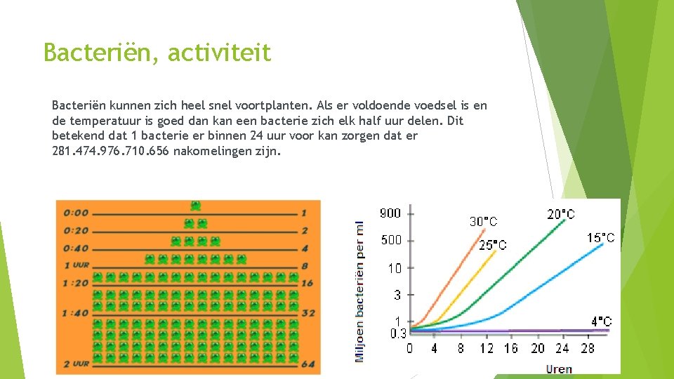 Bacteriën, activiteit Bacteriën kunnen zich heel snel voortplanten. Als er voldoende voedsel is en