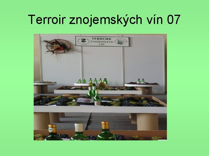 Terroir znojemských vín 07 