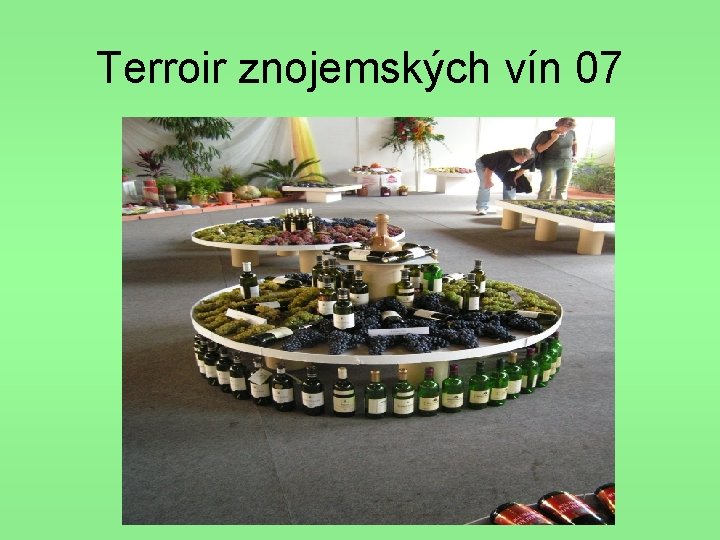 Terroir znojemských vín 07 