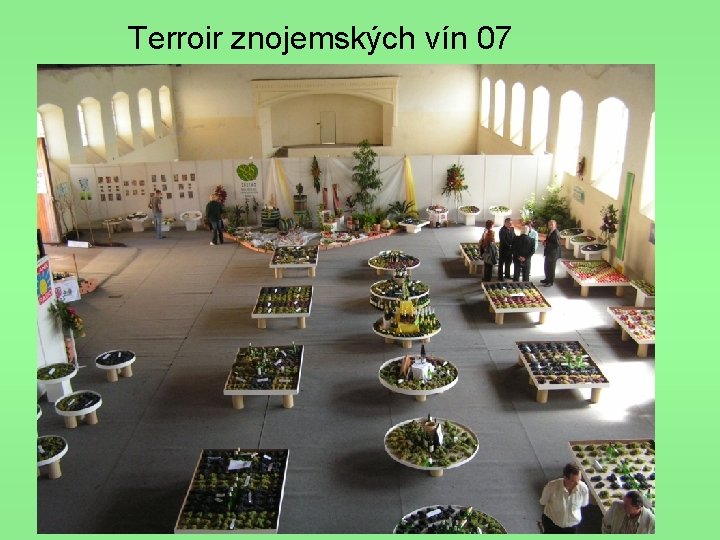 Terroir znojemských vín 07 