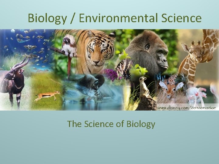 Biology / Environmental Science The Science of Biology 