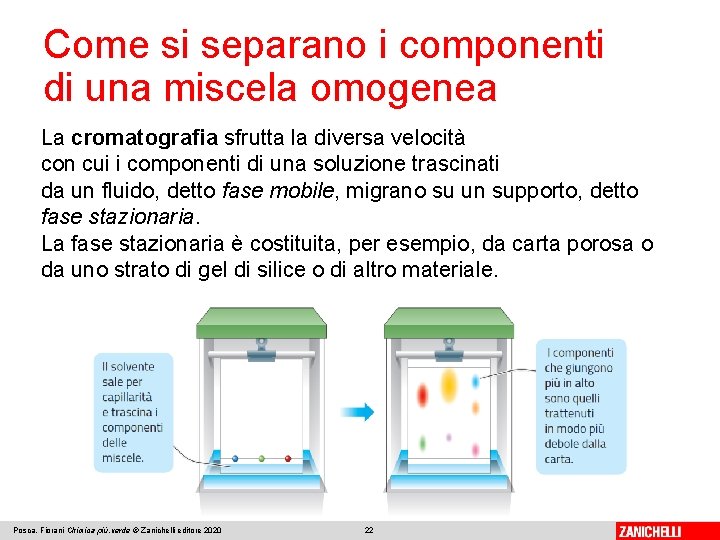 Come si separano i componenti di una miscela omogenea La cromatografia sfrutta la diversa