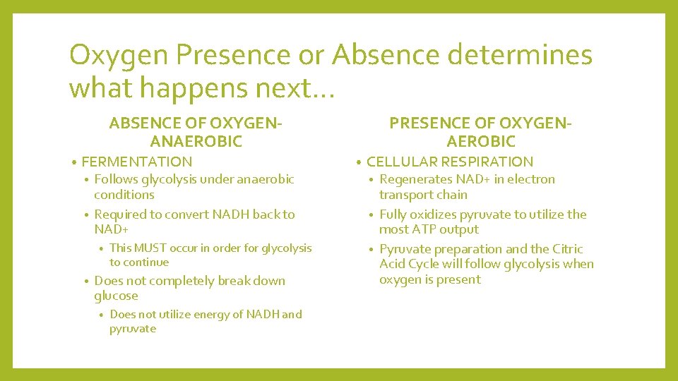 Oxygen Presence or Absence determines what happens next… PRESENCE OF OXYGENAEROBIC ABSENCE OF OXYGENANAEROBIC