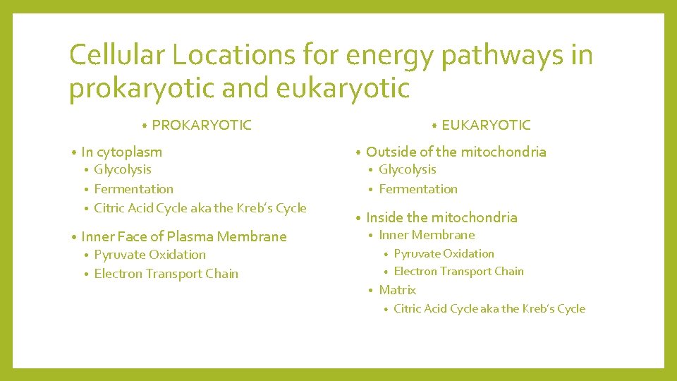 Cellular Locations for energy pathways in prokaryotic and eukaryotic • • PROKARYOTIC In cytoplasm