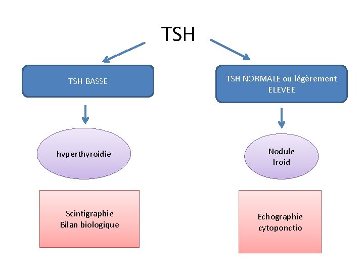 TSH BASSE hyperthyroidie Scintigraphie Bilan biologique TSH NORMALE ou légèrement ELEVEE Nodule froid Echographie