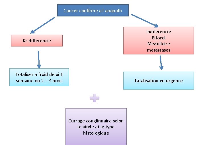 Cancer confirme a l anapath Indiferencie Bifocal Medullaire metastases Kc differencie Totaliser a froid