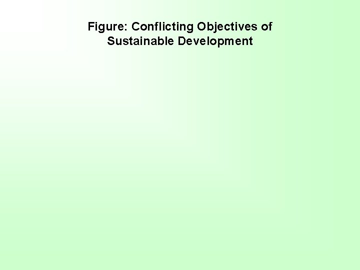 Figure: Conflicting Objectives of Sustainable Development 