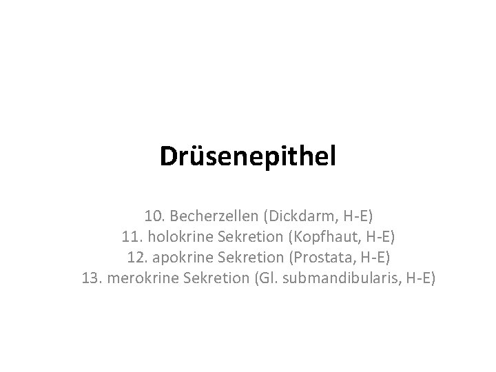 Drüsenepithel 10. Becherzellen (Dickdarm, H-E) 11. holokrine Sekretion (Kopfhaut, H-E) 12. apokrine Sekretion (Prostata,