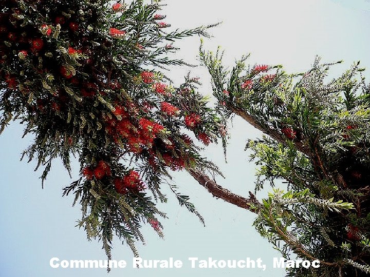 Commune Rurale Takoucht, Maroc 