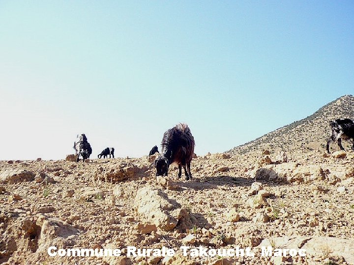 Commune Rurale Takoucht, Maroc 