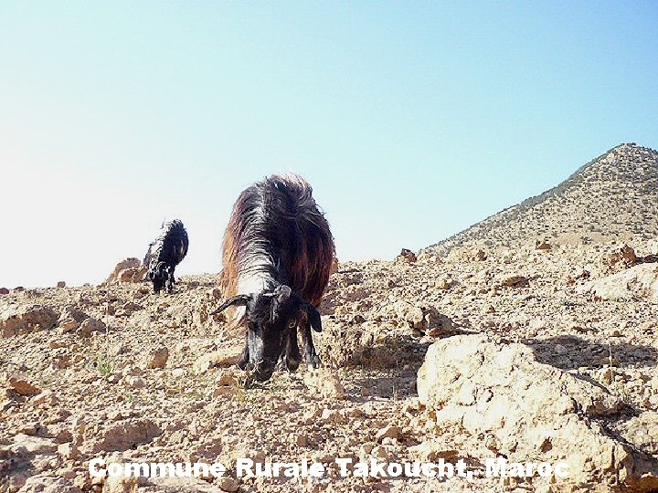 Commune Rurale Takoucht, Maroc 