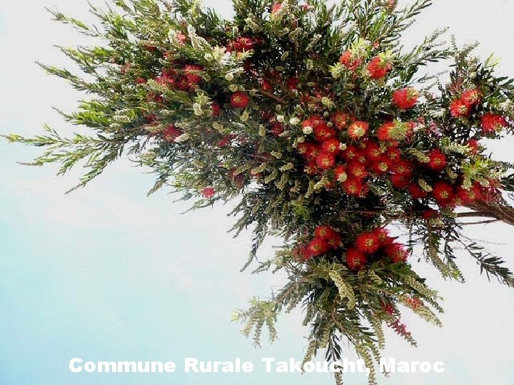 Commune Rurale Takoucht, Maroc 