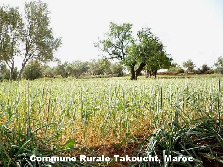 Commune Rurale Takoucht, Maroc 