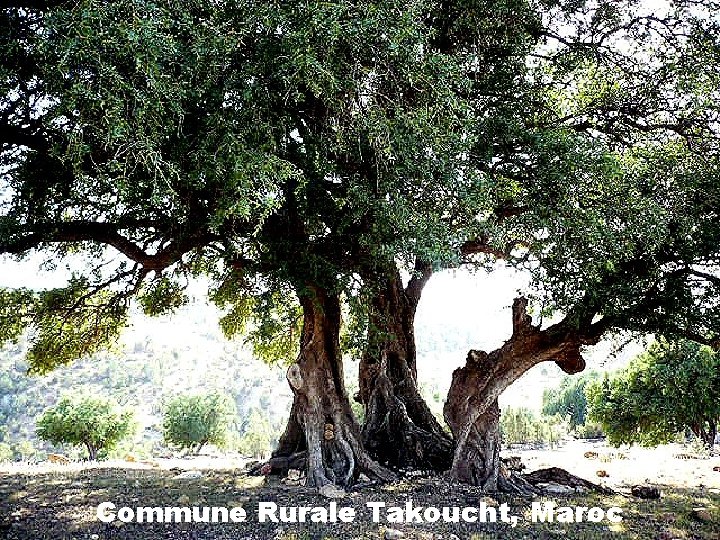 Commune Rurale Takoucht, Maroc 