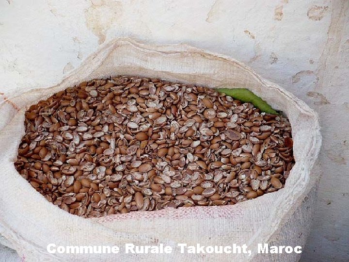 Commune Rurale Takoucht, Maroc 