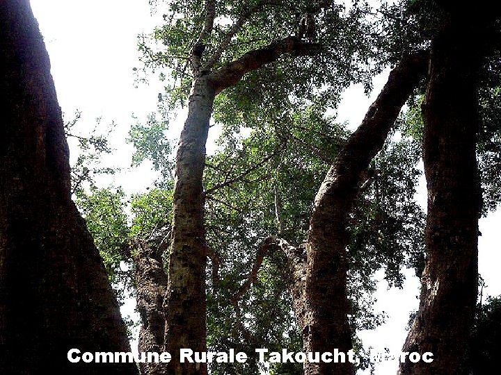 Commune Rurale Takoucht, Maroc 