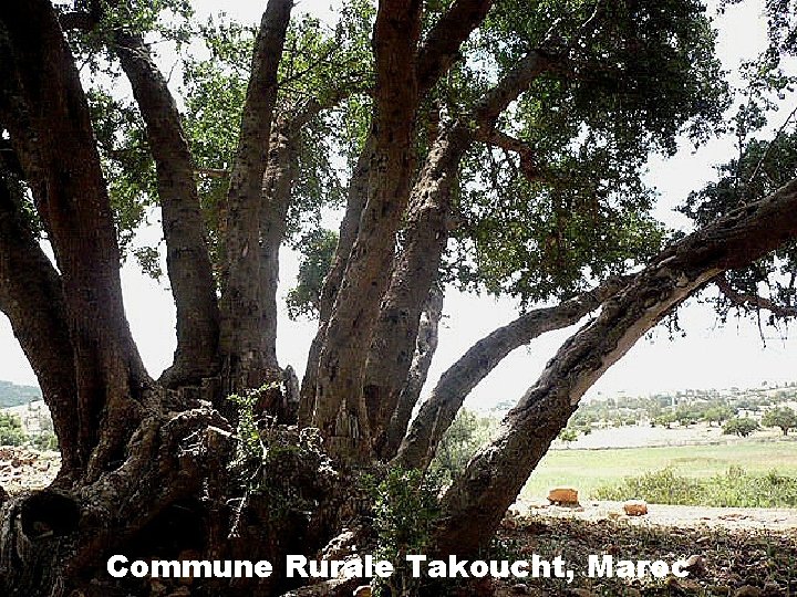 Commune Rurale Takoucht, Maroc 