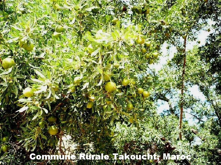 Commune Rurale Takoucht, Maroc 