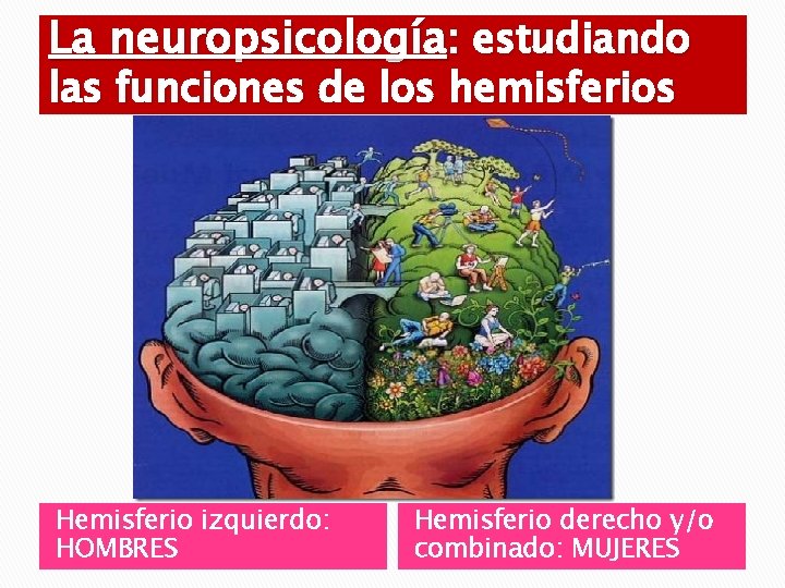 La neuropsicología: estudiando las funciones de los hemisferios Hemisferio izquierdo: HOMBRES Hemisferio derecho y/o