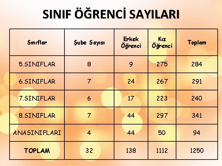 SINIF ÖĞRENCİ SAYILARI Sınıflar Şube Sayısı Erkek Öğrenci Kız Öğrenci Toplam 5. SINIFLAR 8