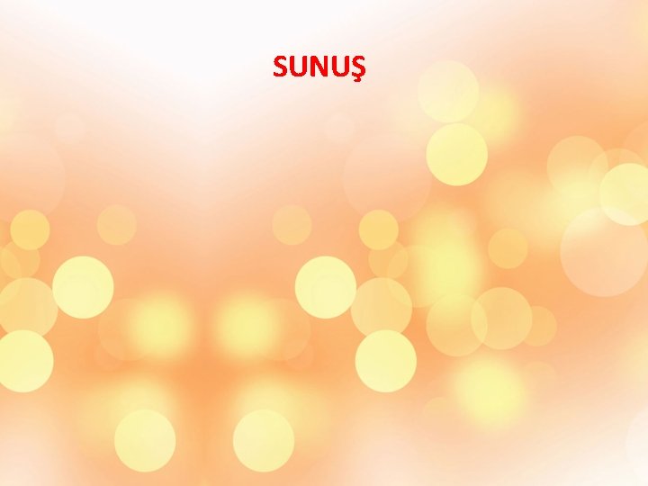  SUNUŞ 