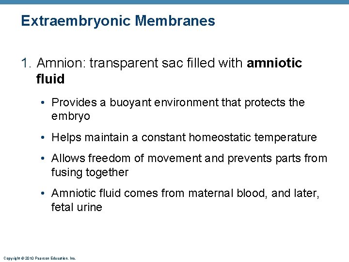 Extraembryonic Membranes 1. Amnion: transparent sac filled with amniotic fluid • Provides a buoyant