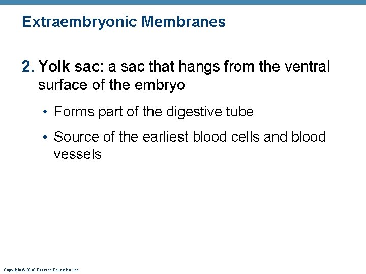 Extraembryonic Membranes 2. Yolk sac: a sac that hangs from the ventral surface of