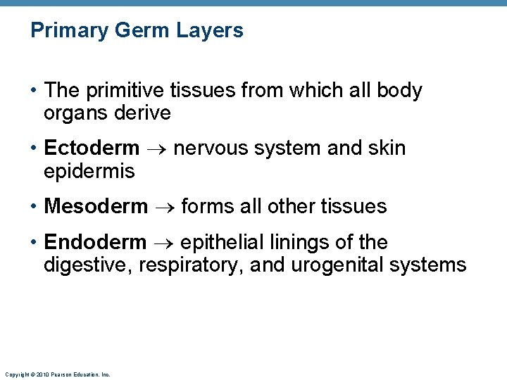 Primary Germ Layers • The primitive tissues from which all body organs derive •
