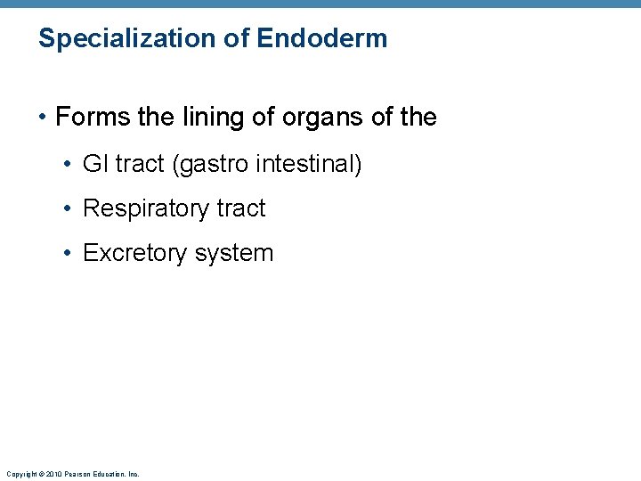 Specialization of Endoderm • Forms the lining of organs of the • GI tract