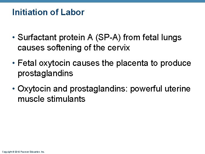 Initiation of Labor • Surfactant protein A (SP-A) from fetal lungs causes softening of