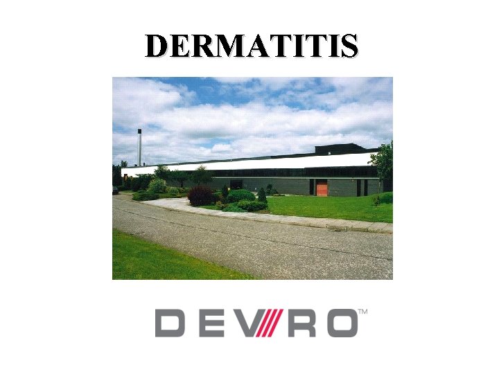 DERMATITIS DERMATITIS