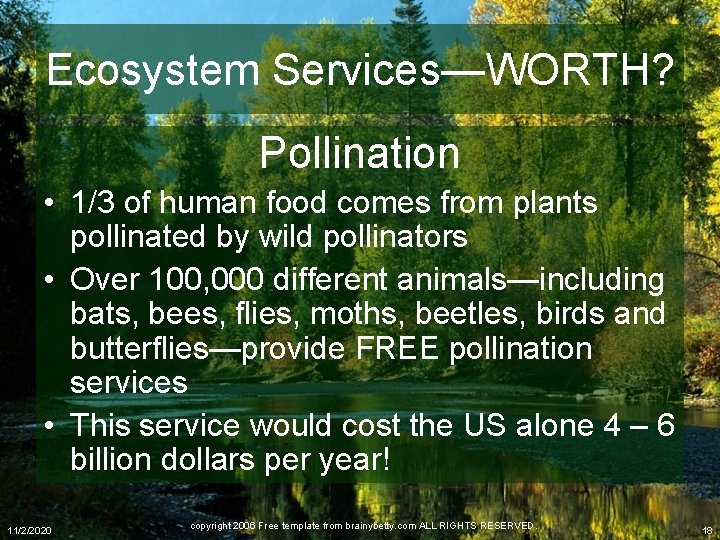 Ecosystem Services—WORTH? Pollination • 1/3 of human food comes from plants pollinated by wild