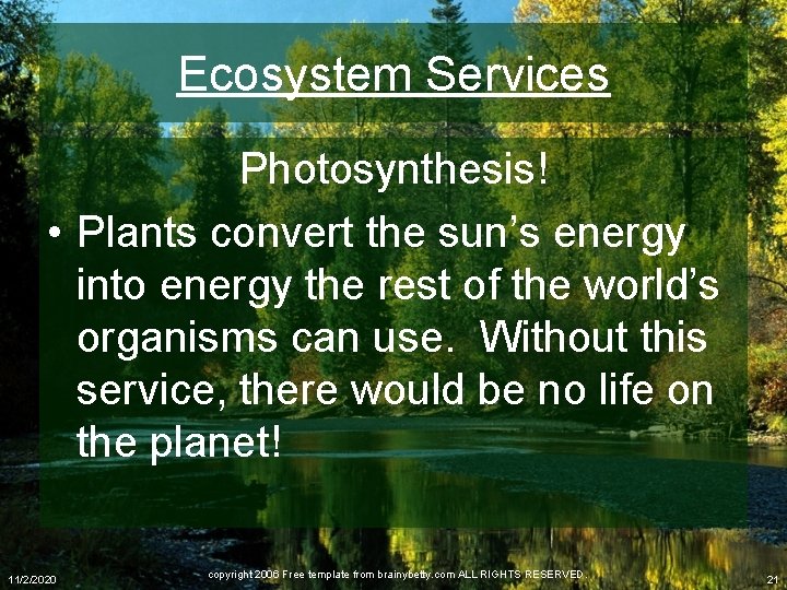 Ecosystem Services Photosynthesis! • Plants convert the sun’s energy into energy the rest of