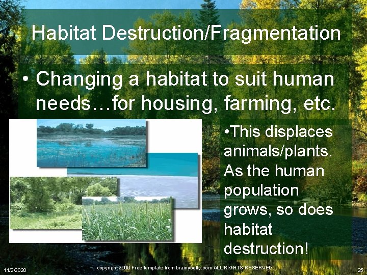 Habitat Destruction/Fragmentation • Changing a habitat to suit human needs…for housing, farming, etc. •