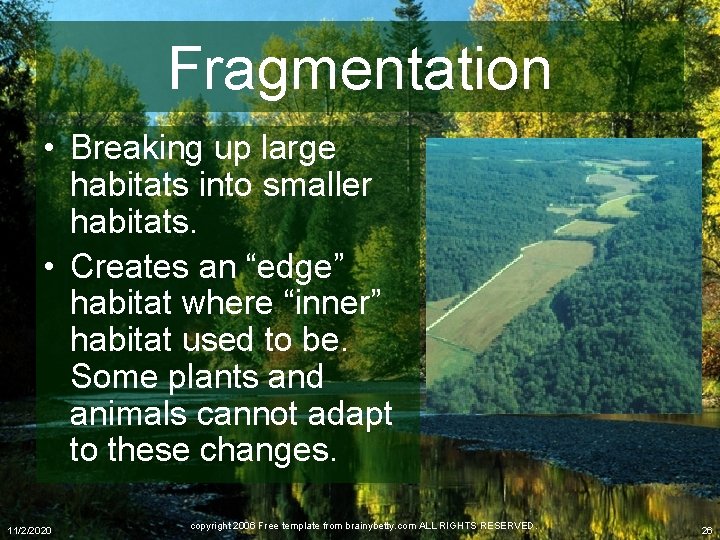 Fragmentation • Breaking up large habitats into smaller habitats. • Creates an “edge” habitat