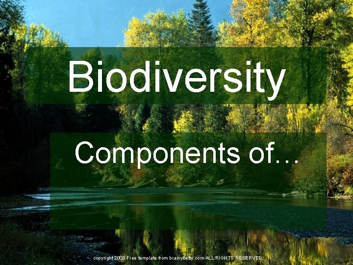 Biodiversity Components of… copyright 2006 Free template from brainybetty. com ALL RIGHTS RESERVED. 