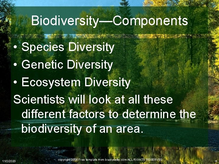 Biodiversity—Components • Species Diversity • Genetic Diversity • Ecosystem Diversity Scientists will look at