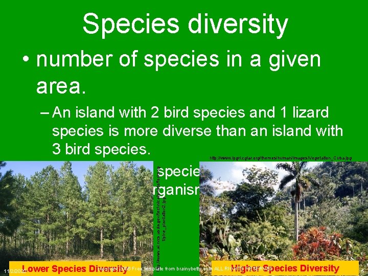 Species diversity • number of species in a given area. – An island with