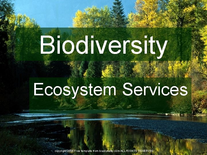 Biodiversity Ecosystem Services copyright 2006 Free template from brainybetty. com ALL RIGHTS RESERVED. 