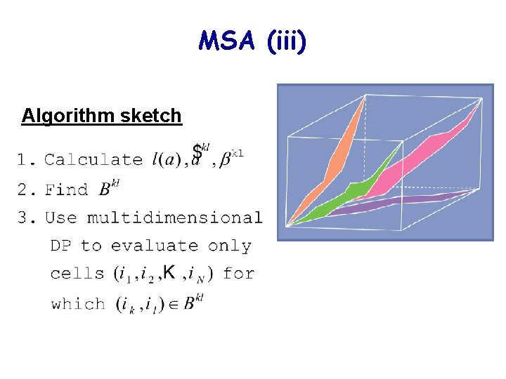 MSA (iii) Algorithm sketch 
