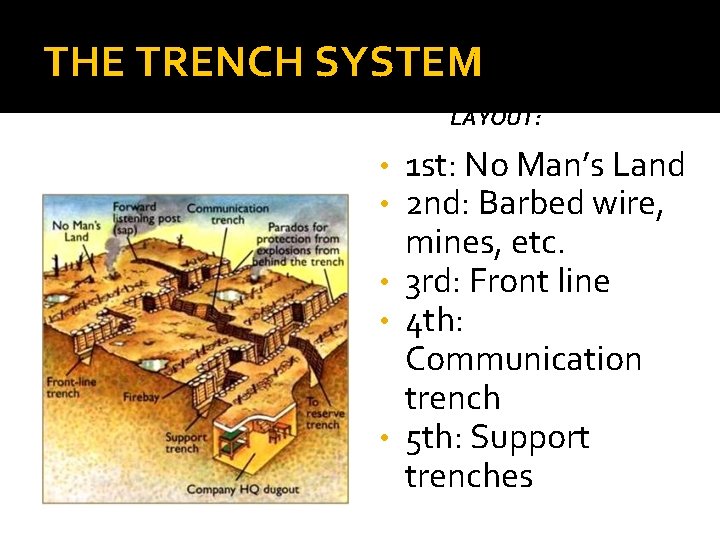 THE TRENCH SYSTEM LAYOUT: 1 st: No Man’s Land 2 nd: Barbed wire, mines,