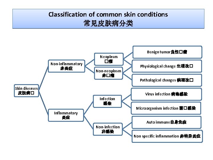 Western Diagnosis Tcm Management For Common Skin Diseases