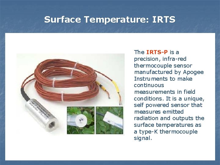Surface Temperature: IRTS The IRTS-P is a precision, infra-red thermocouple sensor manufactured by Apogee