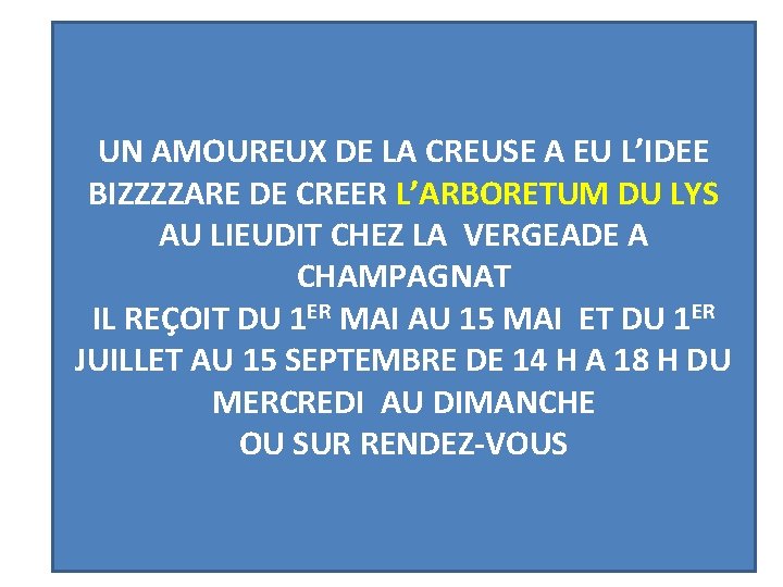 UN AMOUREUX DE LA CREUSE A EU L’IDEE BIZZZZARE DE CREER L’ARBORETUM DU LYS UN AMOUREUX DE LA CREUSE A EU L’IDEE BIZZZZARE DE CREER L’ARBORETUM DU LYS