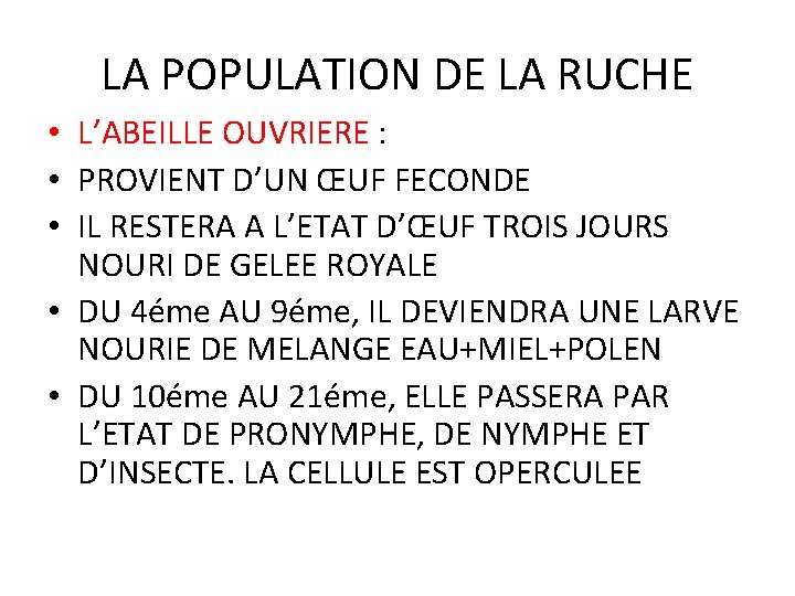 LA POPULATION DE LA RUCHE • L’ABEILLE OUVRIERE : • PROVIENT D’UN ŒUF FECONDE LA POPULATION DE LA RUCHE • L’ABEILLE OUVRIERE : • PROVIENT D’UN ŒUF FECONDE